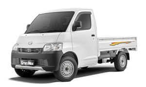 GRANMAX PICK UP
